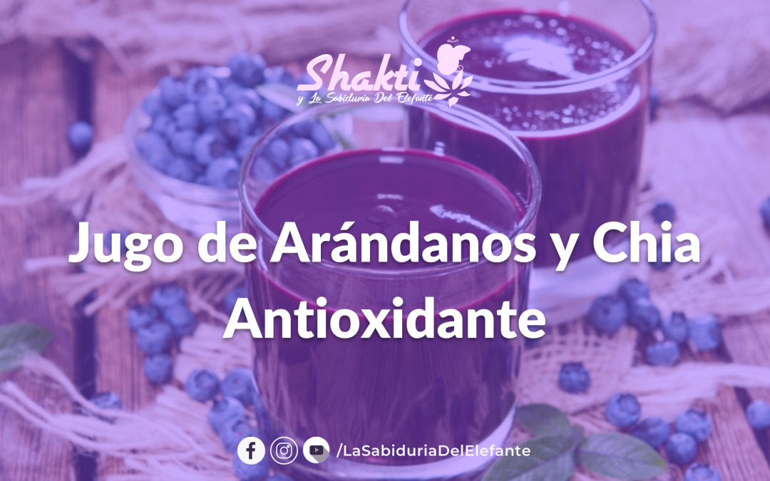 Receta – Jugo de Arándanos y Chia Antioxidante