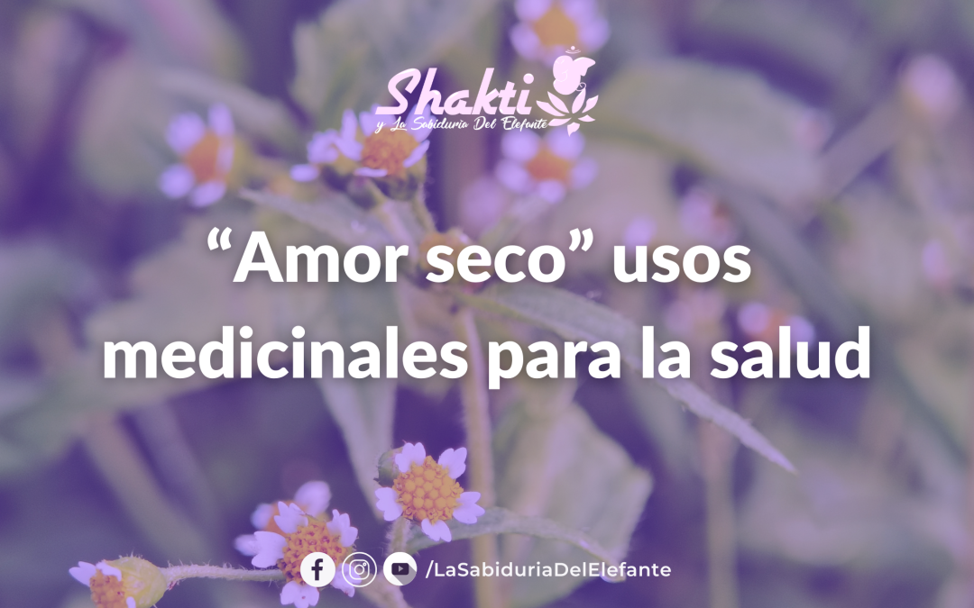 Amor Seco ¿Lo conocías?