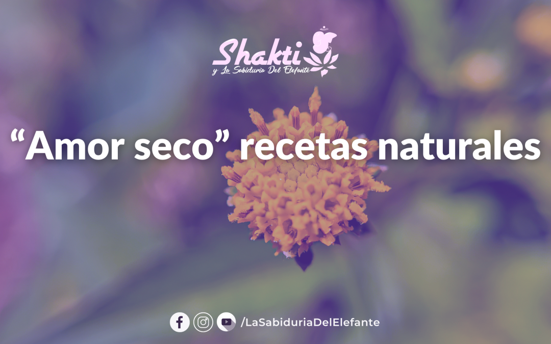 Amor Seco Recetas Naturales