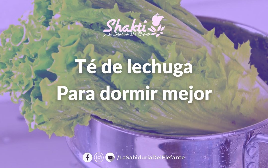 Receta – Té de Lechuga