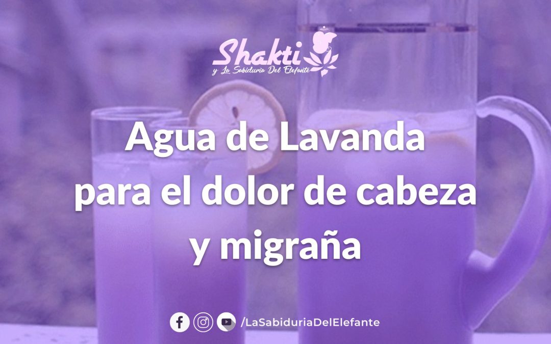 Receta – Agua de Lavanda para el dolor de cabeza y migraña